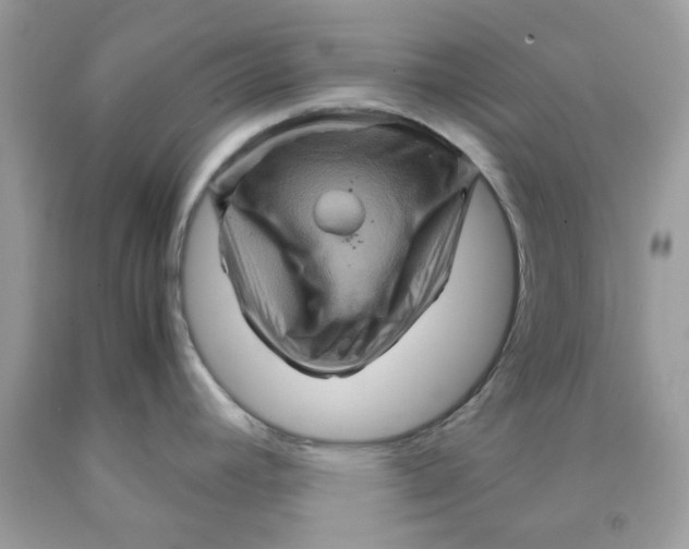 X0000091711392200709141111