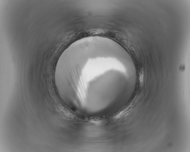 X0000091711393200709141110