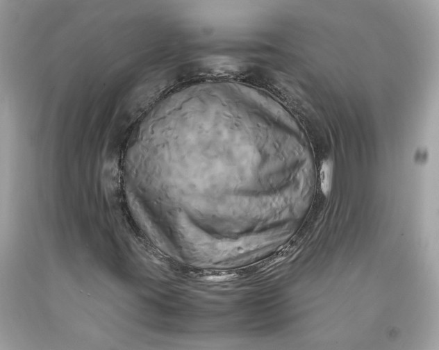 X0000091711395200709141110