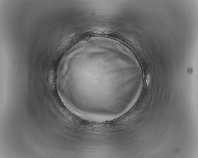 X0000091711396200709141110