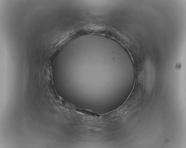 X0000091711397200709141110