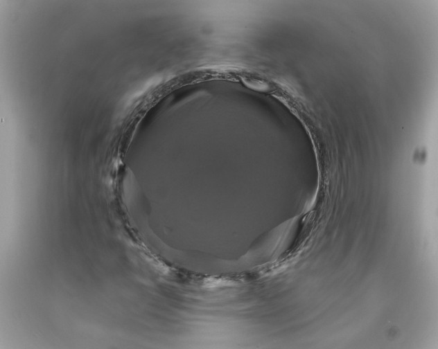 X0000091711398200709141110