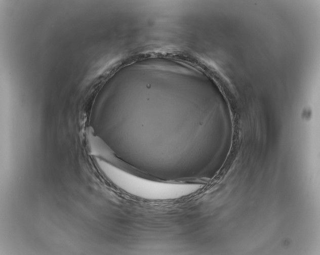 X0000091711399200709141110