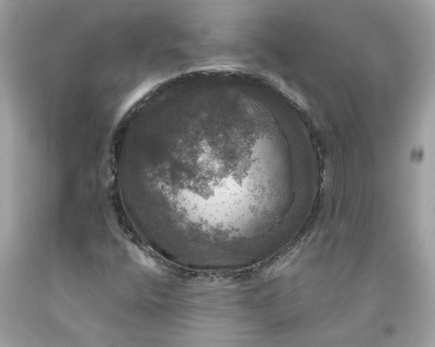 X0000091711400200709141110