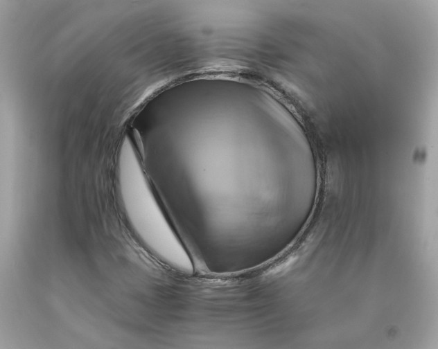 X0000091711401200709141110