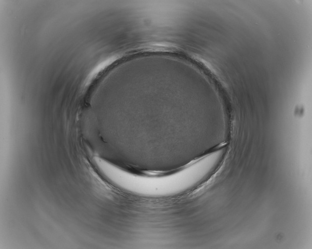 X0000091711402200709141110