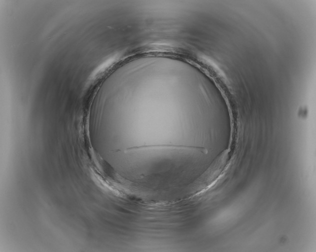 X0000091711403200709141110