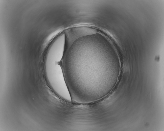 X0000091711406200709141110