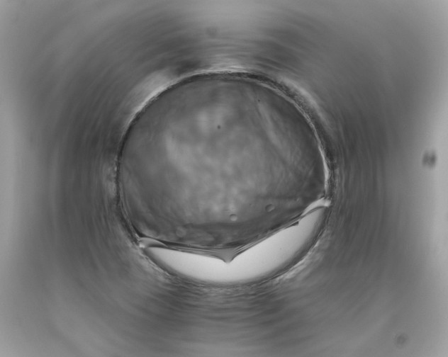 X0000091711409200709141110