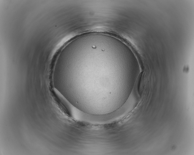 X0000091711410200709141111