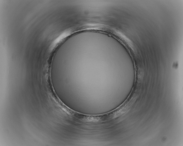 X0000091711411200709141111