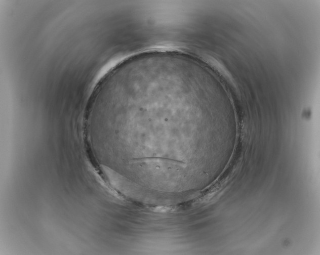 X0000091711412200709141111