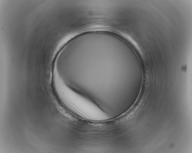 X0000091711413200709141111