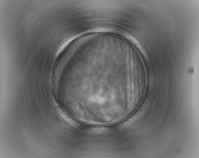 X0000091711417200709141111