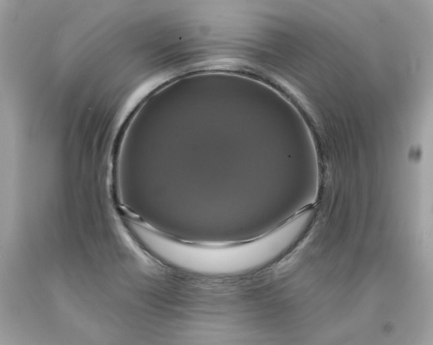 X0000091711418200709141111