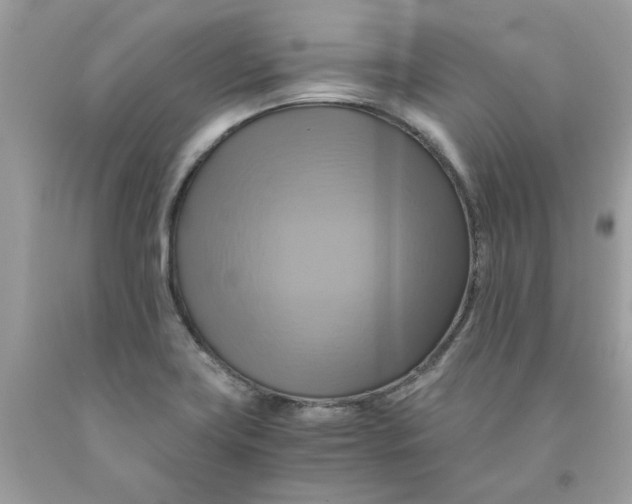 X0000091711419200709141111