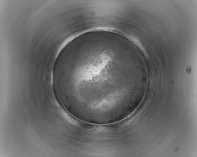 X0000091711420200709141111