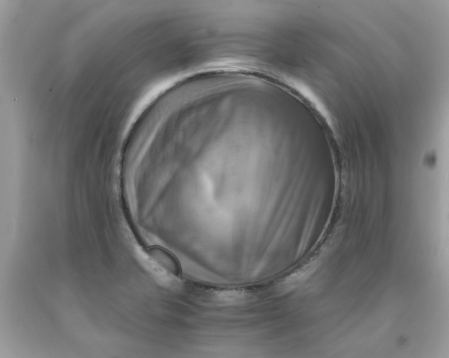 X0000091711421200709141111