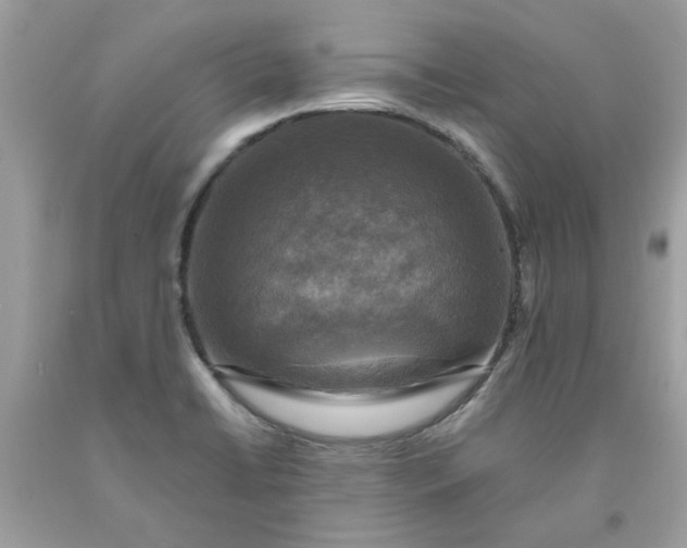 X0000091711422200709141111