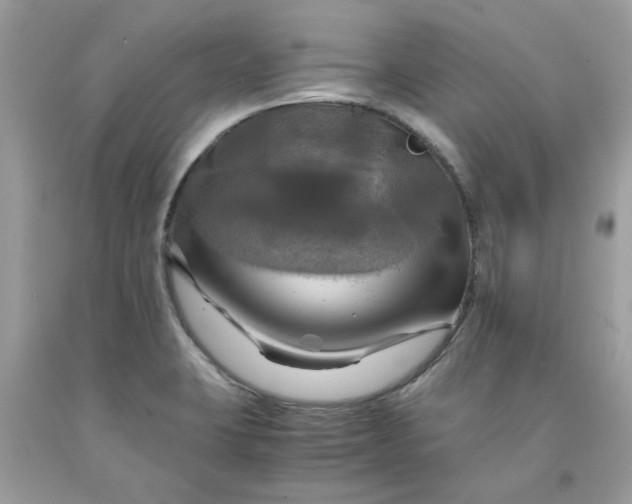 X0000091711423200709141111