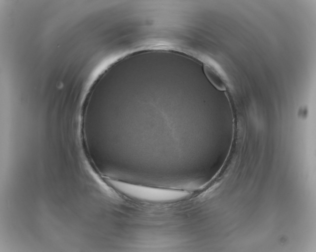 X0000091711424200709141111