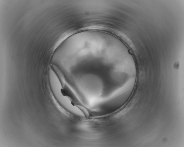 X0000091711425200709141111