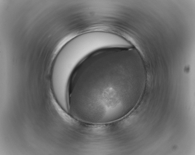 X0000091711426200709141111