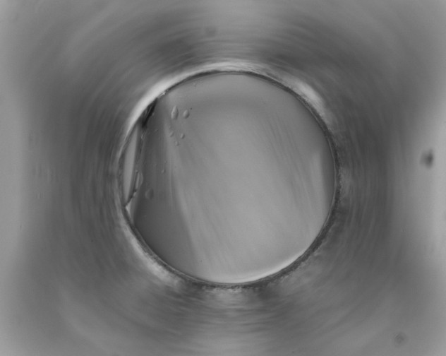 X0000091711428200709141111