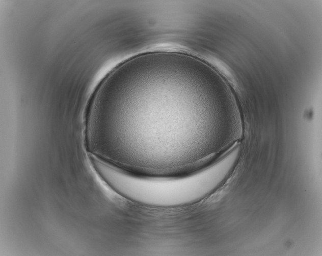 X0000091711430200709141111