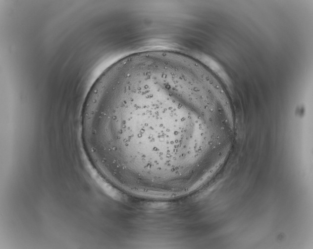 X0000091711431200709141111