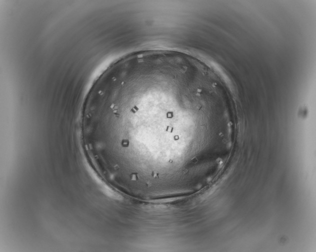 X0000091711432200709141111