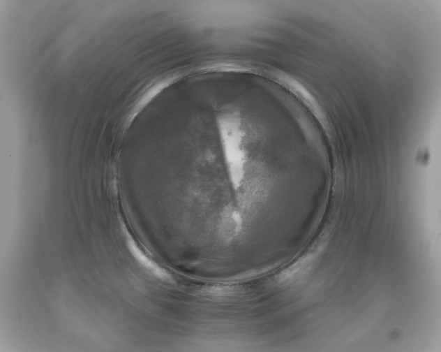 X0000091711433200709141111