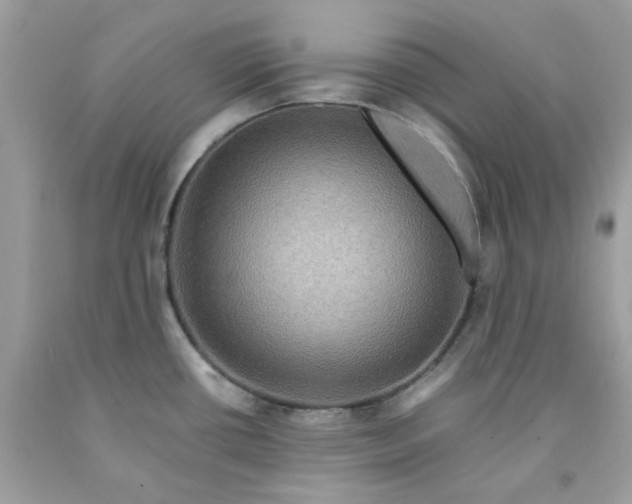 X0000091711434200709141111