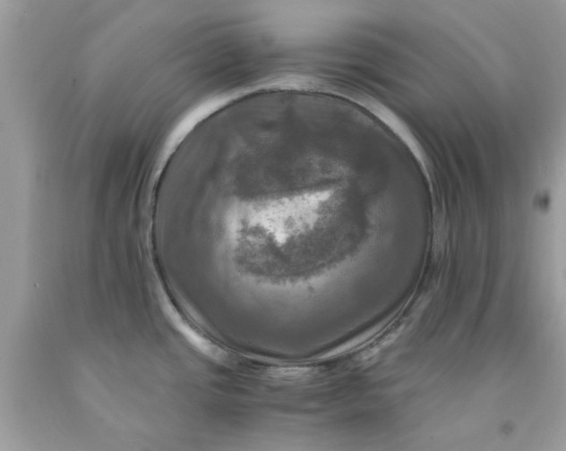 X0000091711437200709141111