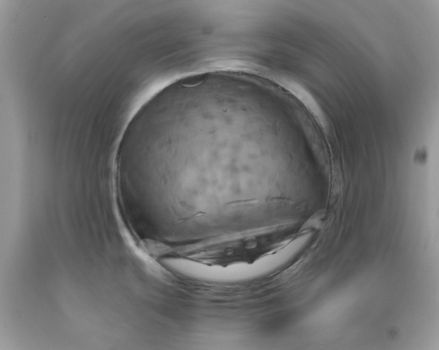 X0000091711439200709141111