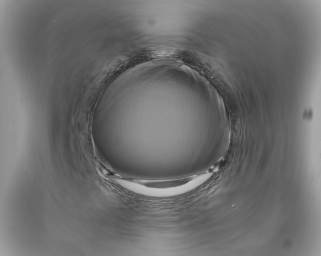 X0000091711441200709141110