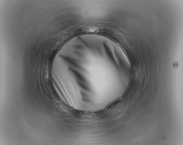 X0000091711442200709141110