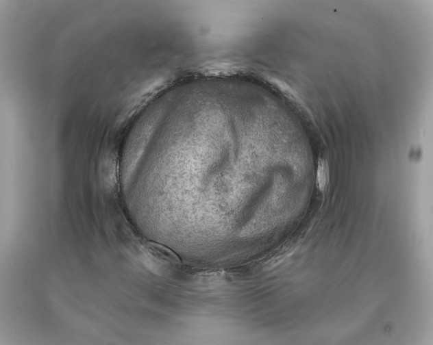 X0000091711444200709141110