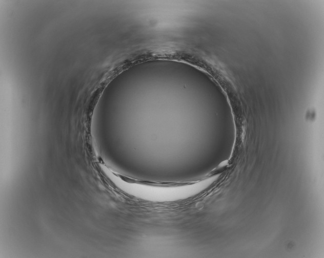 X0000091711445200709141110