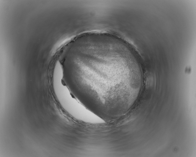 X0000091711448200709141110