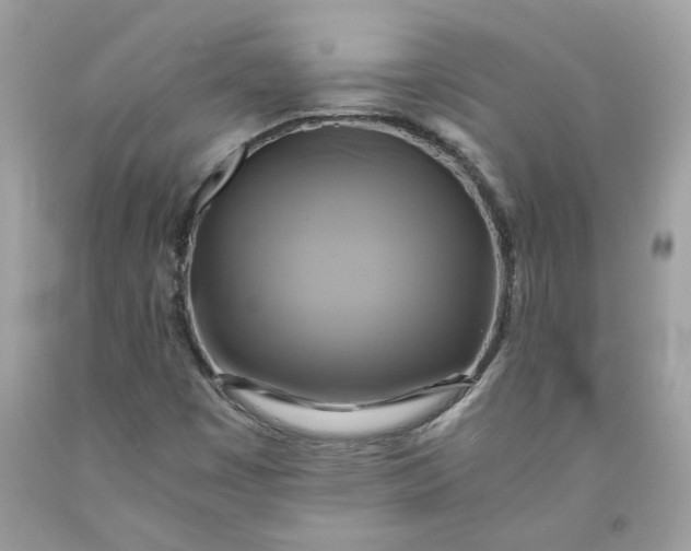 X0000091711449200709141110