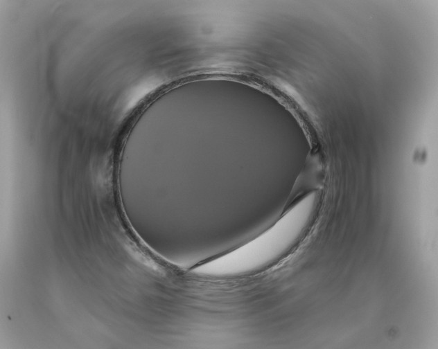 X0000091711450200709141110