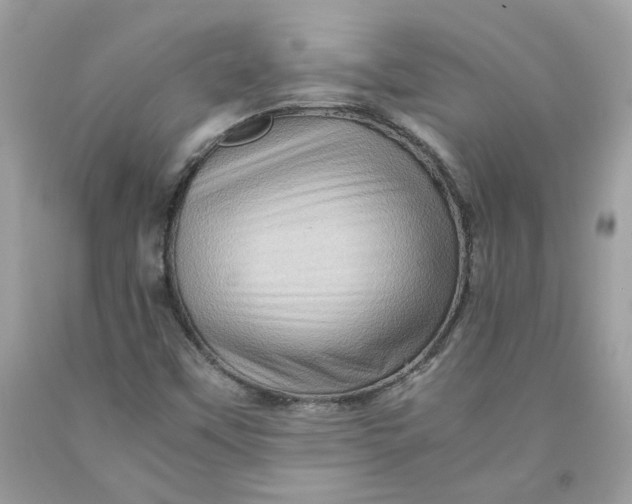 X0000091711451200709141110