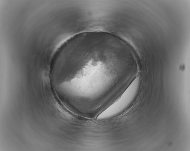 X0000091711452200709141110