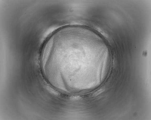 X0000091711454200709141110