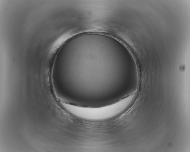 X0000091711455200709141110