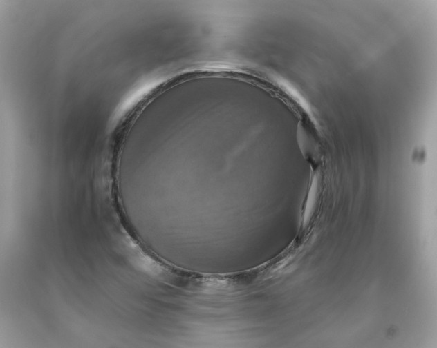 X0000091711456200709141110