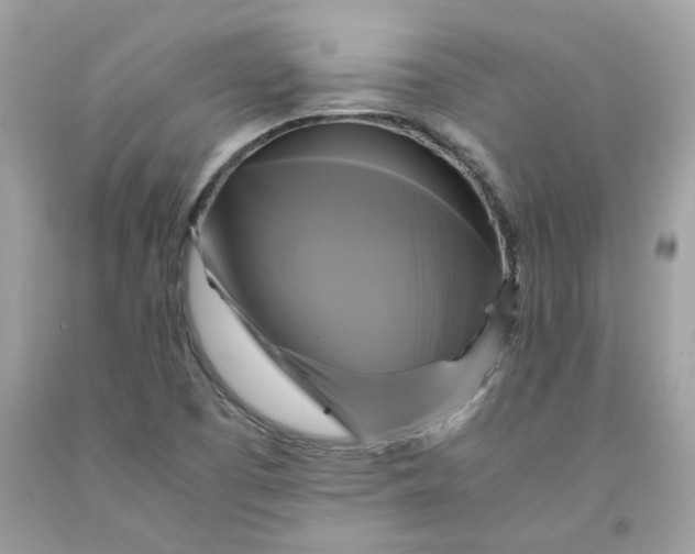 X0000091711457200709141110