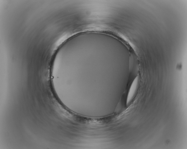 X0000091711459200709141110