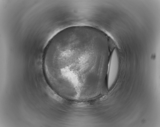X0000091711460200709141110